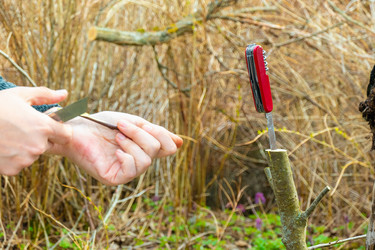 Similar image 21030511