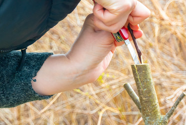 Similar image 21030512