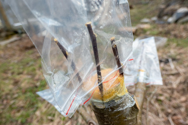 Similar image 21030513