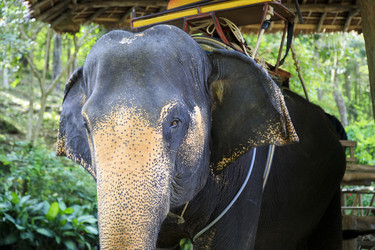 Similar image 21027927