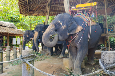 Similar image 21027928