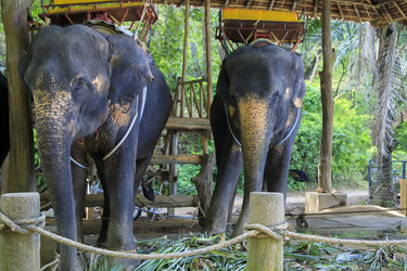 Similar image 21027929