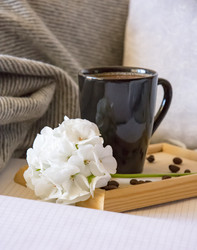 Similar image 21042592