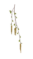 Similar image 21042755