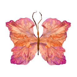 Similar image 21042756