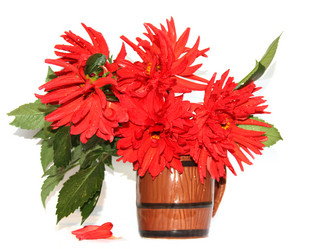 Similar image 21042758