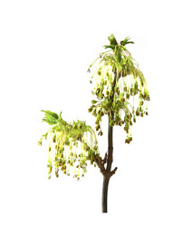 Similar image 21042760