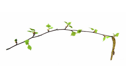 Similar image 21042762