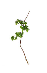 Similar image 21046791