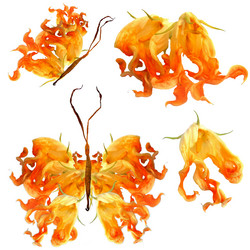 Similar image 21046803