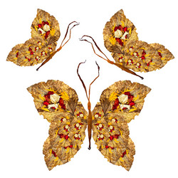 Similar image 21046806