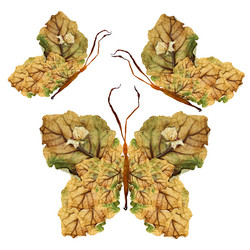 Similar image 21046809