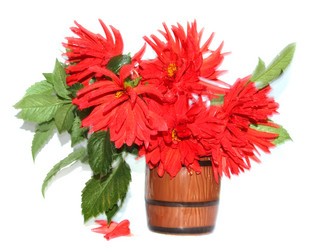 Similar image 21042878