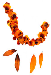 Similar image 21047291