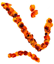 Similar image 21042879