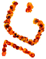 Similar image 21047292