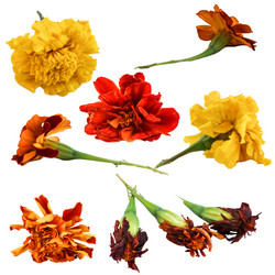 Similar image 21047295