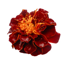 Similar image 21047296