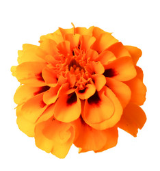 Similar image 21047297