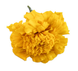 Similar image 21047298