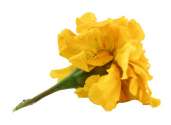 Similar image 21047299