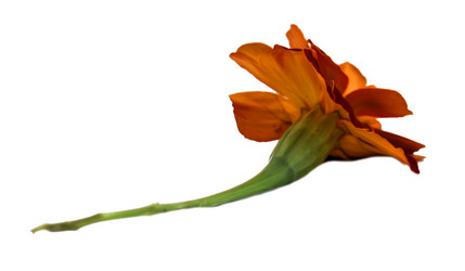 Similar image 21047301