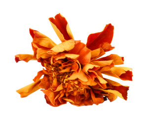 Similar image 21042881