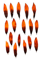 Similar image 21047303