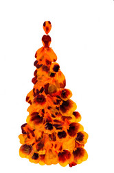 Similar image 21047304