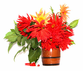 Similar image 21047310