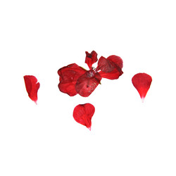 Similar image 21047311