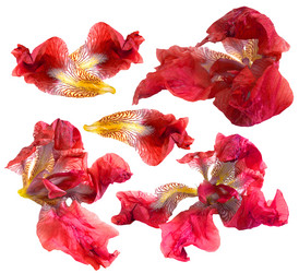 Similar image 21042883