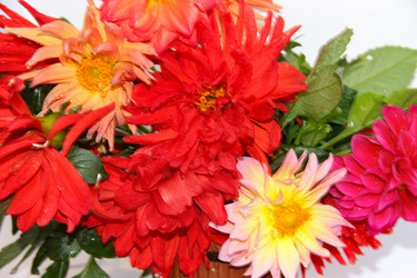 Similar image 21047552