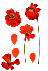 Similar image 21047554