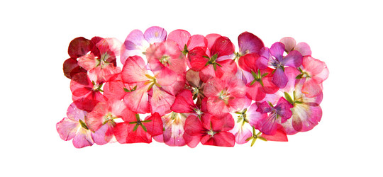 Similar image 21047559