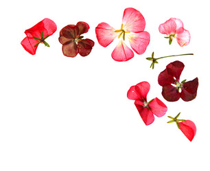 Similar image 21047665