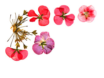 Similar image 21047669