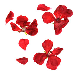 Similar image 21047670