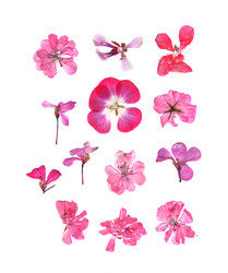 Similar image 21047671