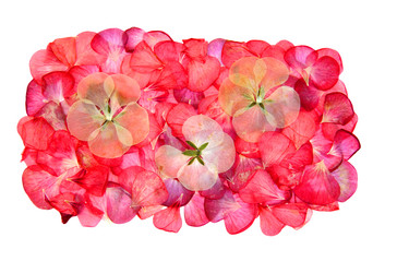 Similar image 21047706