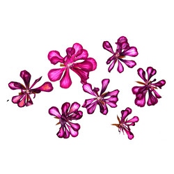 Similar image 21047708