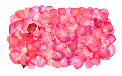 Similar image 21047709