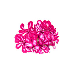 Similar image 21047710