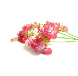 Similar image 21047711