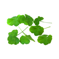 Similar image 21042597