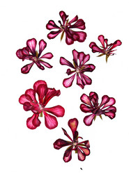 Similar image 21042602