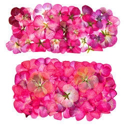 Similar image 21042603