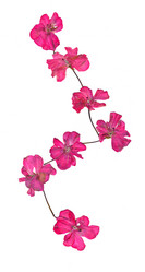 Similar image 21042604