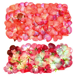 Similar image 21042605