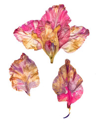 Similar image 21042608